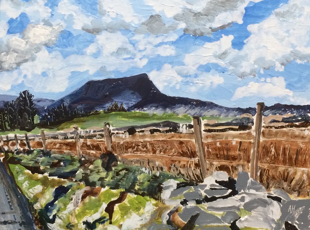 a fenced off field with a mountain in the background